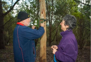 Committee members Paul Strickland and Merrin Butler install a 'song meter' as part of their work with the Friends of Mount Worth State Park. 